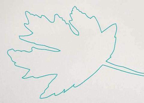 leaf outline