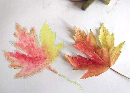 Autum leaf and drawing