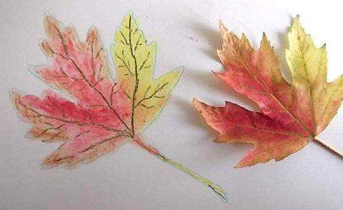 Autum leaf using pastels